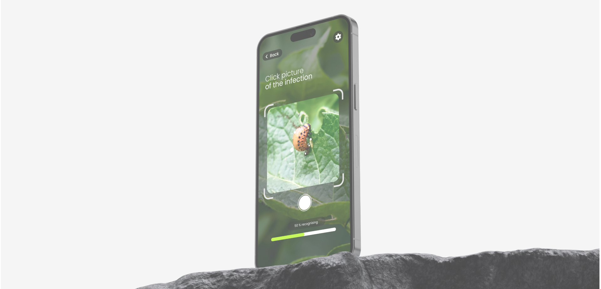 amelior design background